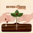 Acres Of Lions