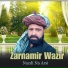 Zarnamir Wazir