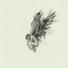ICARUS IN ASH