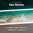 New Age, Ocean Sounds, Nature Sounds