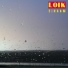 Loik
