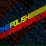 The Polish Ambassador