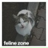 Soothing Cat Music