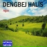 Dengbej Halis