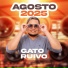 GATO RUIVO