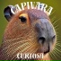 Capivete