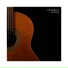 Acoustic Guitar Crew