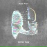 Distilled Noise
