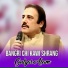Gulzar Alam