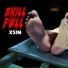 Xsim
