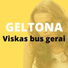 Delfinai & Geltona