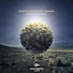 Earth Connect, Tamir Shemesh