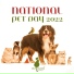 Pet Music Academy