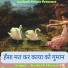 Kailash Meena