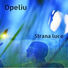Opeliu