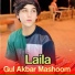 Gul Akbar Mashoom