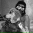 Drigo