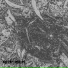 Necrophorium