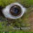 Avian Waves