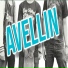AVELLIN
