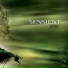 CLUB9318247 - Sensient