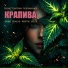 Константин Наличный