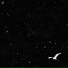 Roverb