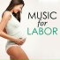 Labor Music Maestro