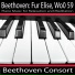 Beethoven Consort