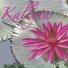 KALLYTA