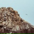 Alvarock