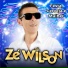 Zé Wilson