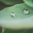 Oceanic Yoga Pros, Rain Shower Spa, Rain Recorders
