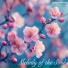 Relaxing Ambiance
