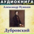 Аудиокнига в кармане, Максим Доронин