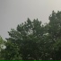 Hjhaar
