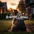 Club de Música para Perros