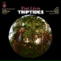 Triptides