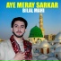 Bilal Mahi