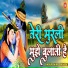 Dhiraj Pathak