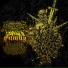 Decomposition of Entrails, Brains Outward