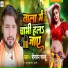 Bhimsen Sajju