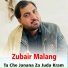 Zubair Malang
