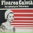 Floarea Calotă