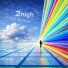 zoidage