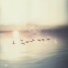 IDYLL