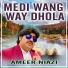 Ameer Niazi