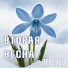 Ягренев