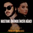 Alişahin feat. Nahide Babashlı