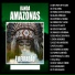 BANDA AMAZONAS